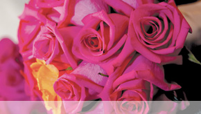 Flowers & Decor